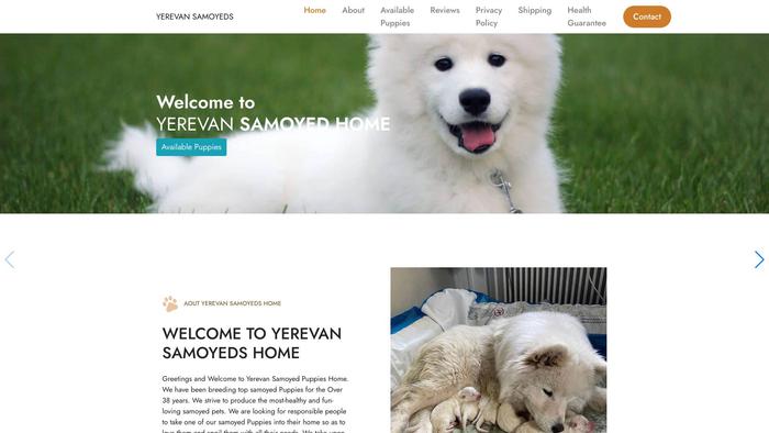 Yerevsamoyeds.com - Samoyed Puppy Scam Review