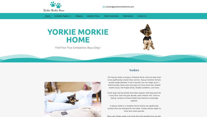 Yorkiemorkiehome.com - Yorkshire Terrier Puppy Scam Review