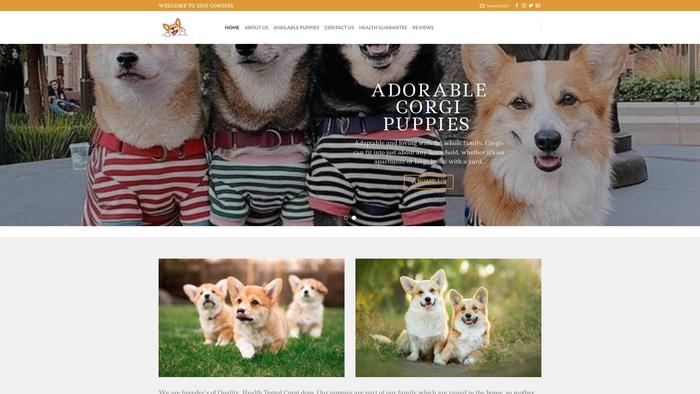 Zigicorgies.com - Corgi Puppy Scam Review