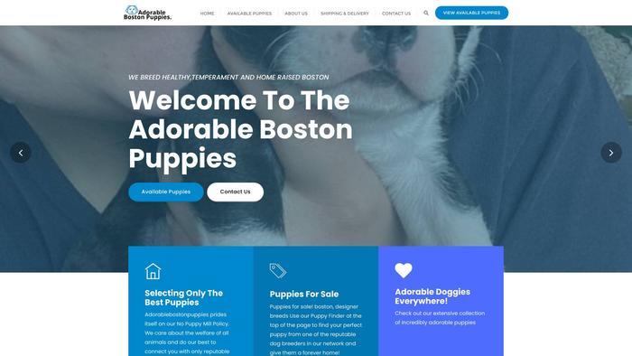 Adorablebostonpuppies.com - Boston Terrier Puppy Scam Review