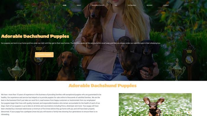 Adorabledachshundpuppy.com - Dachshund Puppy Scam Review