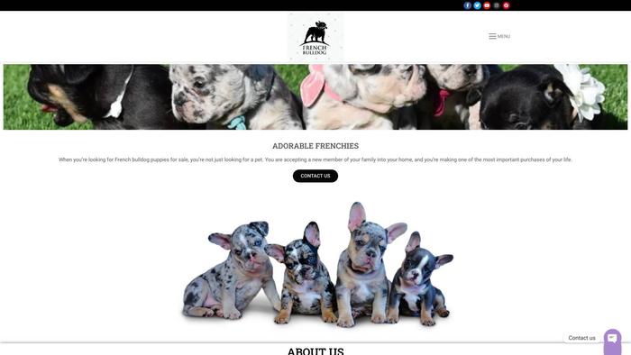 Adorablefrenchieforhomes.com - French Bulldog Puppy Scam Review