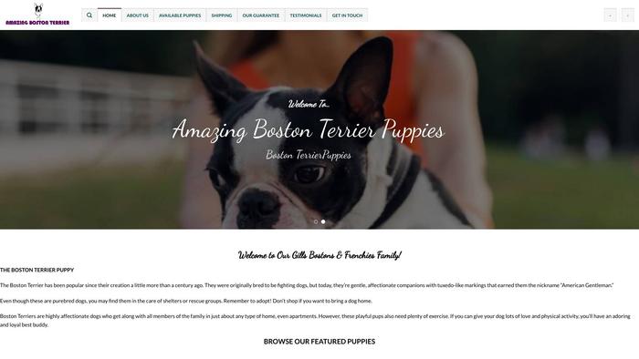 Amazingbostonterrier.com - Terrier Puppy Scam Review