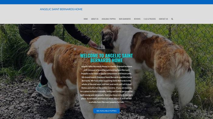 Angelicsaintbernardshome.com - Saint Bernard Puppy Scam Review