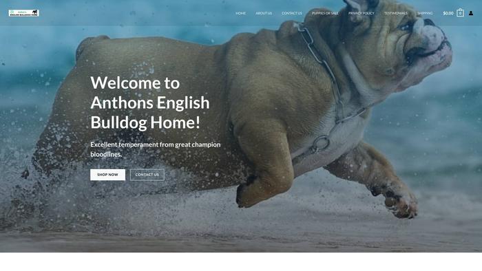 Anthonsenglishbulldogshome.com - English Bulldog Puppy Scam Review