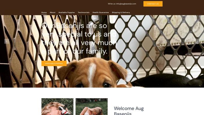 Augbasenjis.com - Basenji Puppy Scam Review