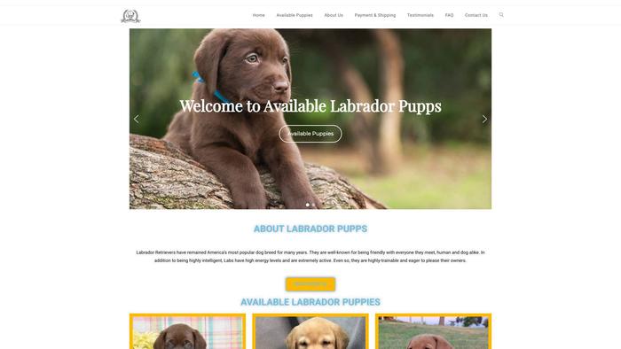 Availablelabradorretrieverspuppies.com - Golden Retriever Puppy Scam Review