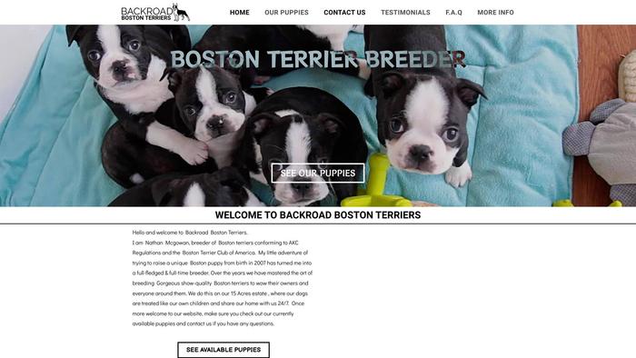 Backroadbostonterriers.com - Terrier Puppy Scam Review