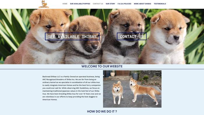 Backroadshibas.com - Shibhainu Puppy Scam Review