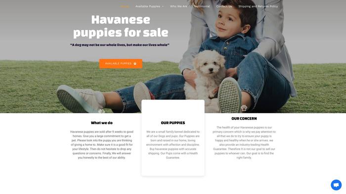 Bayarea-havanese4sale.com - Havanese Puppy Scam Review