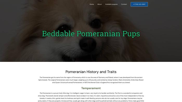 Beddablepomeranianpups.com - Pomeranian Puppy Scam Review