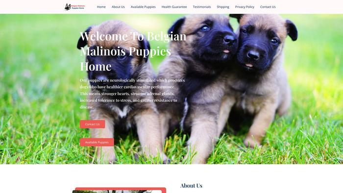 Belgianmalinoispupshome.com - Germanshepherd Puppy Scam Review