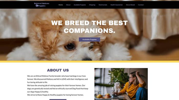 Belovedmaltesepuppiesforsale.com - Maltese Puppy Scam Review