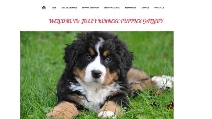 Bernesemountaindogsforsale.com - Bernese Mountain Dog Puppy Scam Review