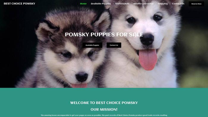 Bestchoicepomsky.com - Pomeranian Puppy Scam Review