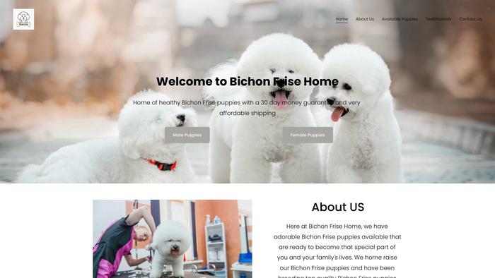 Bichonfrisehome.com - Bichon Frise Puppy Scam Review