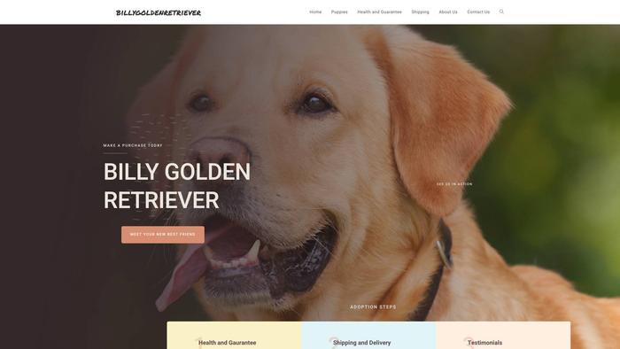 Billygoldenretriever.com - Golden Retriever Puppy Scam Review