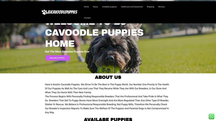 Bjcavoodlepuppies.com - Cavapoo Puppy Scam Review