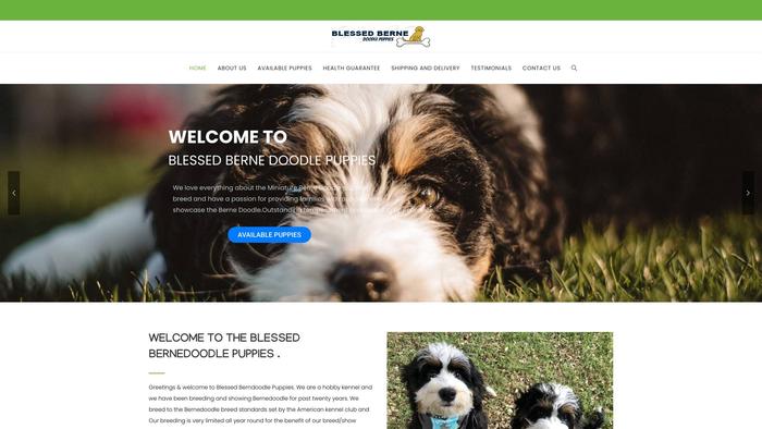 Blessedbernedoodlepuppies.com - Bernedoodle Puppy Scam Review