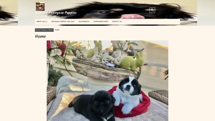 Blessedpekingesepuppies.com - Pekingese Puppy Scam Review