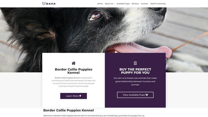 Bordercolliepuppieskennel.com - Bordercollie Puppy Scam Review