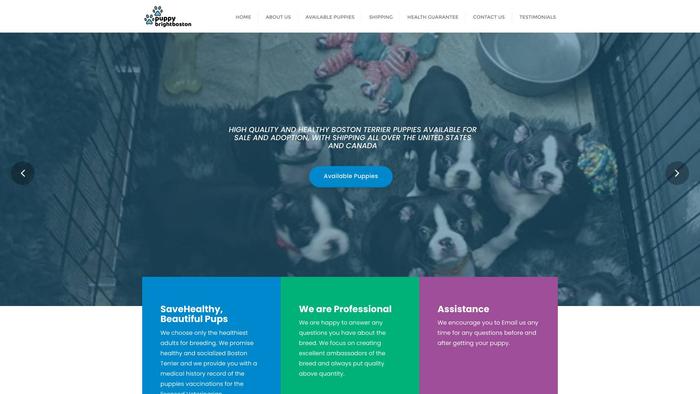 Brightbostonpuppies.com - Boston Terrier Puppy Scam Review