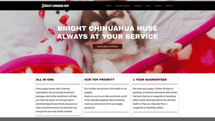 Brightchihuahuahuse.com - Chihuahua Puppy Scam Review