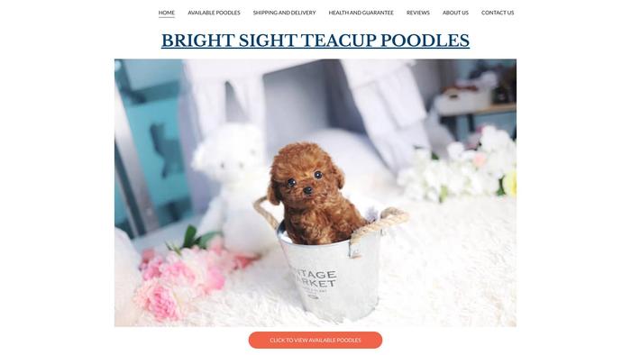 Brightsightteacuppoodles.com - Poodle Puppy Scam Review