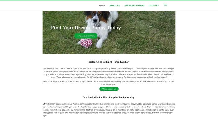 Brillianthomepapillon.store - Papillon Puppy Scam Review