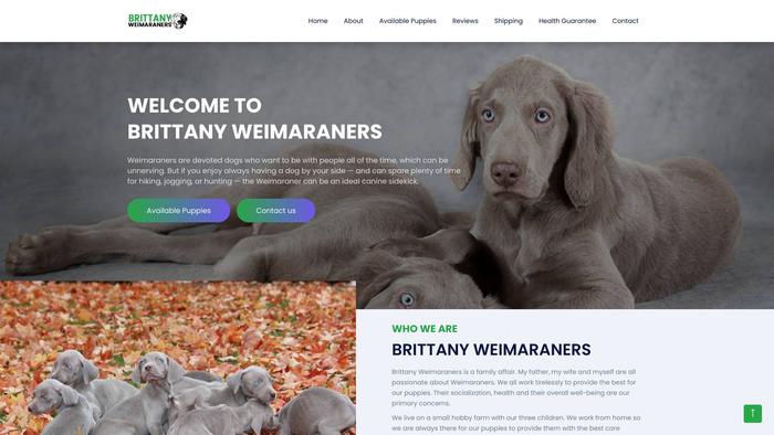 Brittanyweimaraners.com - Weimaraner Puppy Scam Review