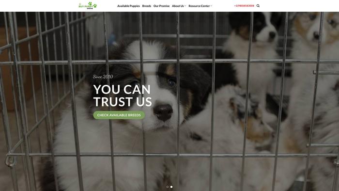 Buypuppyonline.org - Golden Doodle Puppy Scam Review