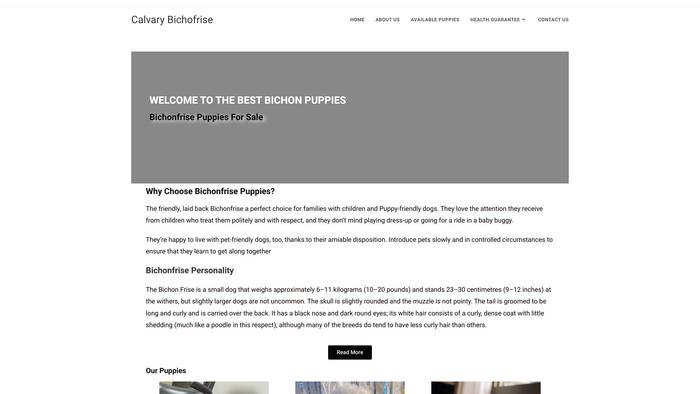 Calvarybichonfrise.com - Bichon Frise Puppy Scam Review