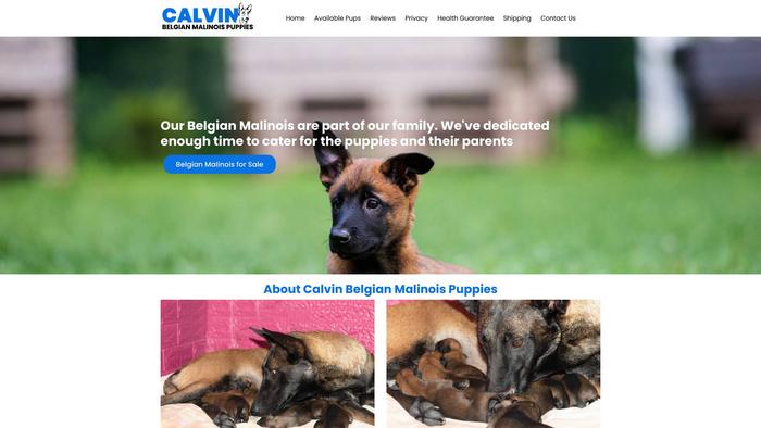 Calvinbelgianmalinoispuppies.com - Germanshepherd Puppy Scam Review