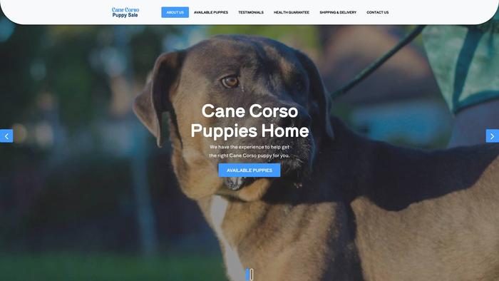 Canecorsopuppysale.com - Cane Corso Puppy Scam Review