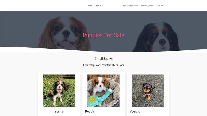 Castlecourtcavaliers.com - Cavalier King Charles Spaniel Puppy Scam Review