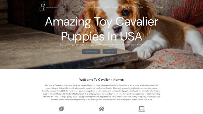 Cavalier4homes.com - Cavalier King Charles Spaniel Puppy Scam Review