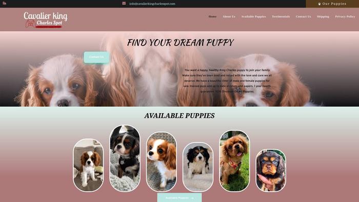 Cavalierkingcharlesspot.com - Cavalier King Charles Spaniel Puppy Scam Review