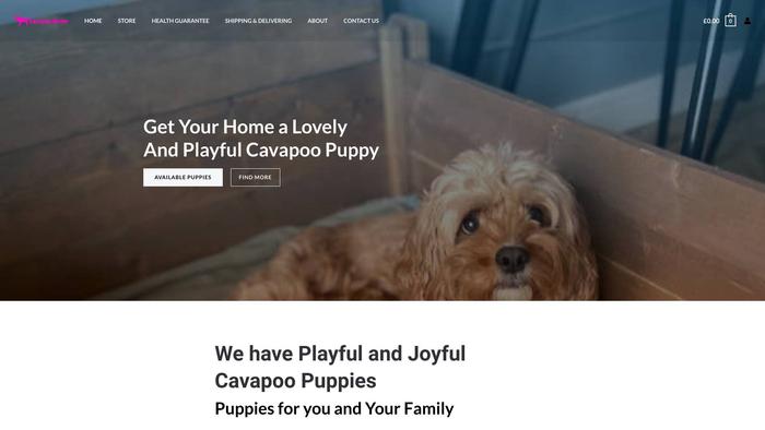 Cavapoohomen.com - Cavapoo Puppy Scam Review