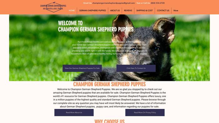 Championgermanshepherdpuppies.com - Germanshepherd Puppy Scam Review