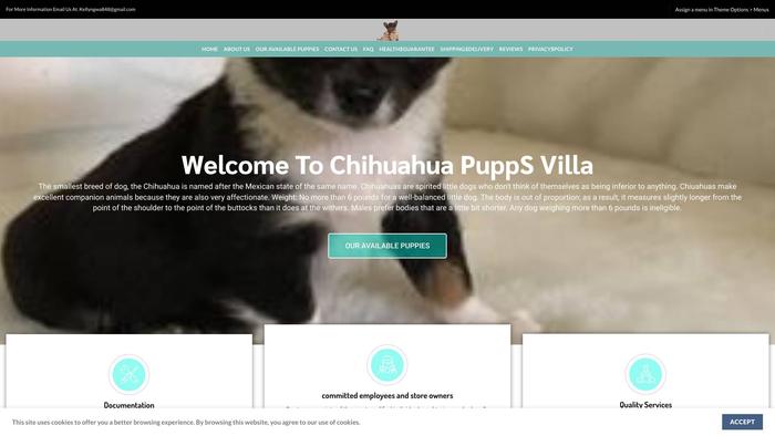 Chihuahuapupsvillla.com - Chihuahua Puppy Scam Review