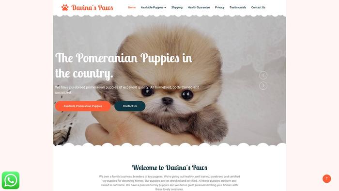 Cityofpuppies.com - Beagle Puppy Scam Review