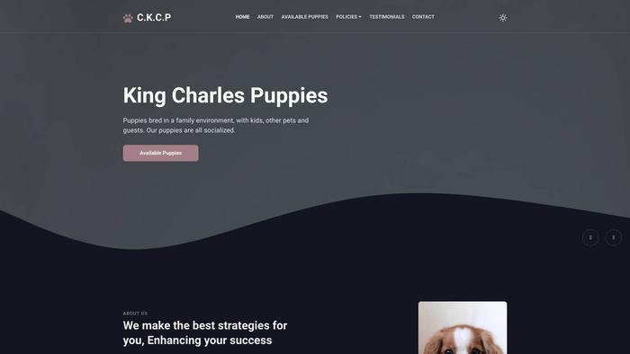 Ckingcharles.com - Cavalier King Charles Spaniel Puppy Scam Review