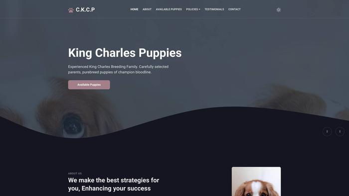 Ckspanielpupsale.com - Spaniel Puppy Scam Review