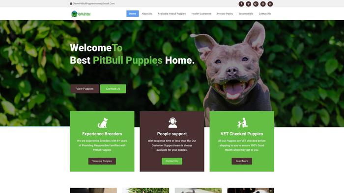 Cleverpitbullpuppieshome.com - Pit Bull Puppy Scam Review