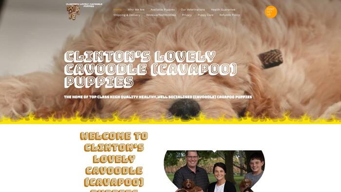 Clintonlovelycavapoopuppies.com - Cavapoo Puppy Scam Review