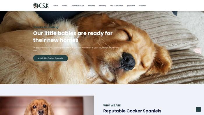 Cockerspanielkernel.com - Cockerspaniel Puppy Scam Review