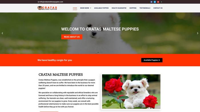 Cratasmaltesepuppies.com - Maltese Puppy Scam Review