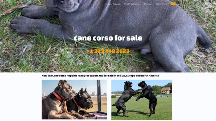 Cutecanecorso.com - Cane Corso Puppy Scam Review