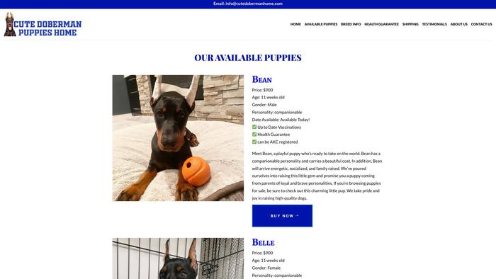 Cutedobermanhome.com - Doberman Pinscher Puppy Scam Review