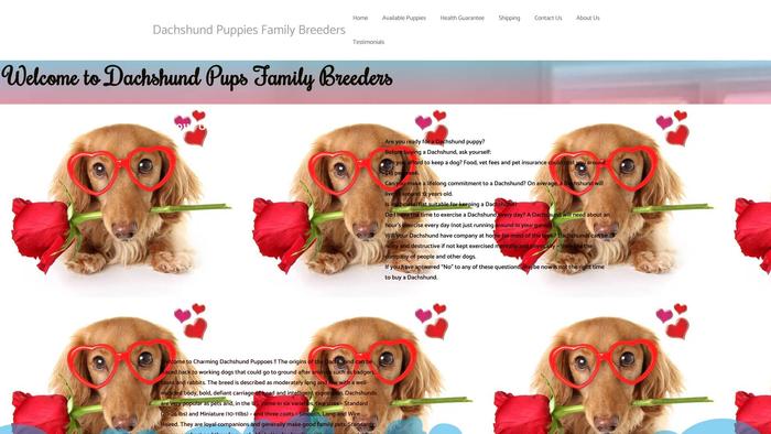 Dachshundpupsfamilybreeders.com - Dachshund Puppy Scam Review